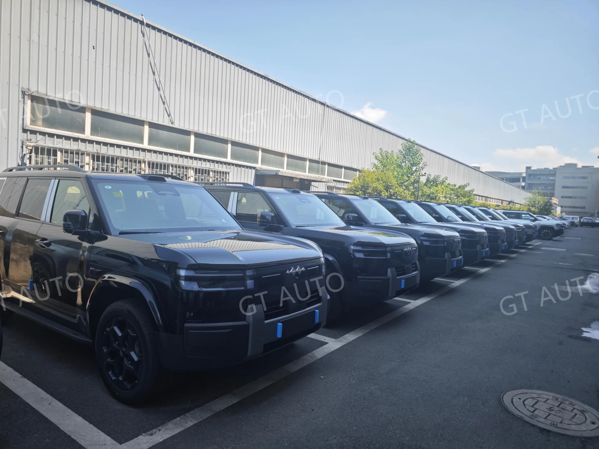 BYD Formula Leopard Ti 7 8